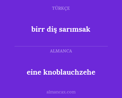 birr diş sarımsak - eine knoblauchzehe