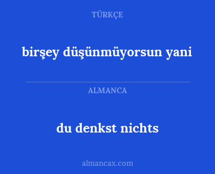 du denkst nichts - birşey düşünmüyorsun yani