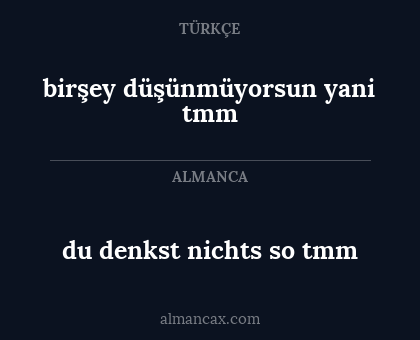 du denkst nichts so tmm - birşey düşünmüyorsun yani tmm