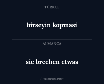 sie brechen etwas - birseyin kopmasi