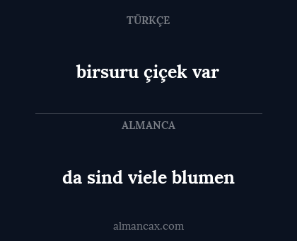 birsuru çiçek var - da sind viele blumen