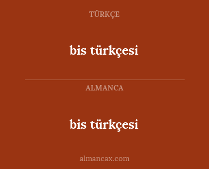 bis türkçesi - bis türkçesi