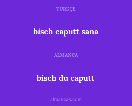 bisch du caputt - bisch caputt sana