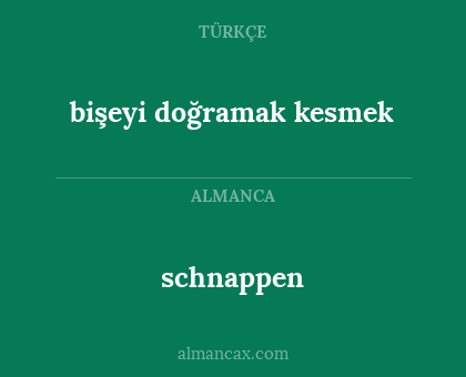 schnappen - bişeyi doğramak kesmek