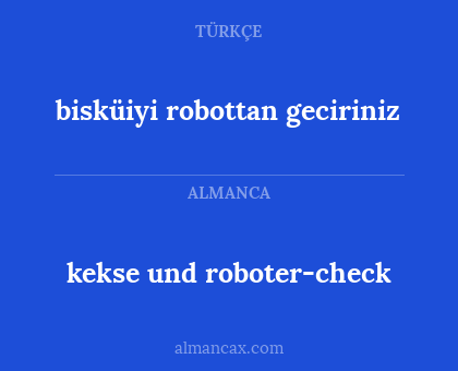 bisküiyi robottan geciriniz - kekse und roboter-check