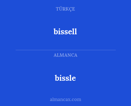 bissle - bissell