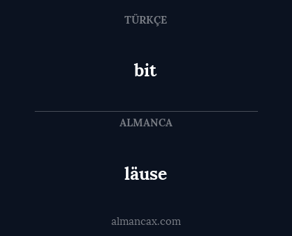 läuse - bit