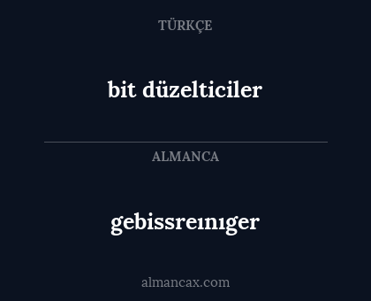 bit düzelticiler - gebissreınıger