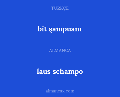 laus schampo - bit şampuanı