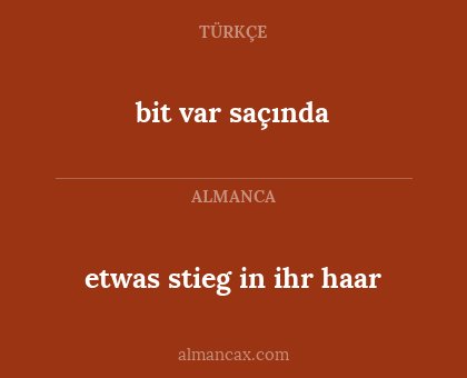 bit var saçında - etwas stieg in ihr haar