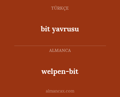 bit yavrusu - welpen-bit