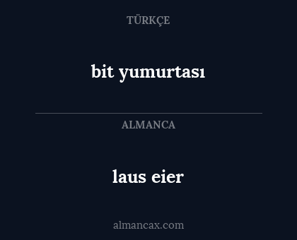 laus eier - bit yumurtası