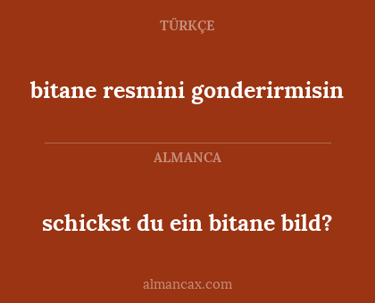 schickst du ein bitane bild? - bitane resmini gonderirmisin