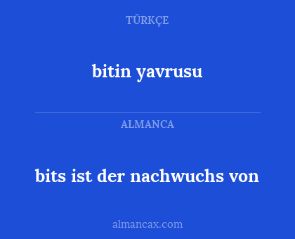 bits ist der nachwuchs von - bitin yavrusu