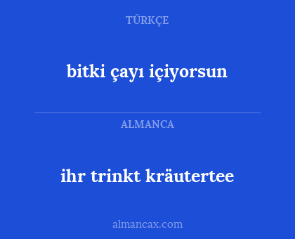 ihr trinkt kräutertee - bitki çayı içiyorsun