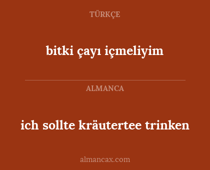 ich sollte kräutertee trinken - bitki çayı içmeliyim
