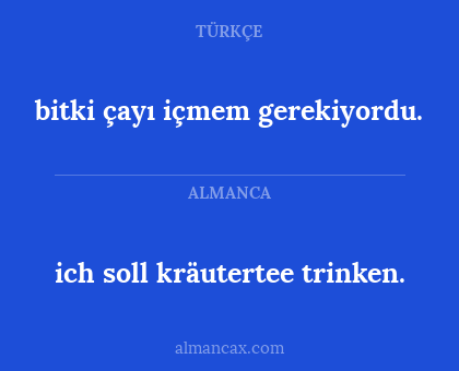 bitki çayı içmem gerekiyordu. - ich soll kräutertee trinken.