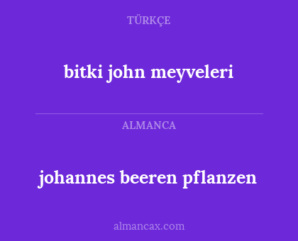 bitki john meyveleri - johannes beeren pflanzen