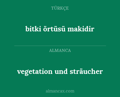 bitki örtüsü makidir - vegetation und sträucher