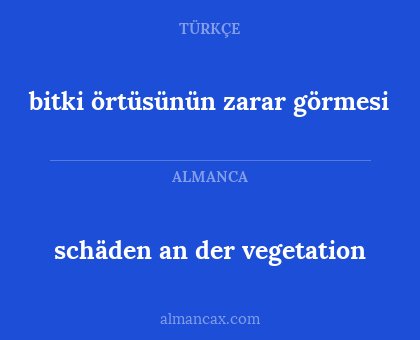schäden an der vegetation - bitki örtüsünün zarar görmesi