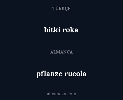 bitki roka - pflanze rucola