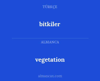 vegetation - bitkiler