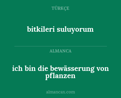 ich bin die bewässerung von pflanzen - bitkileri suluyorum