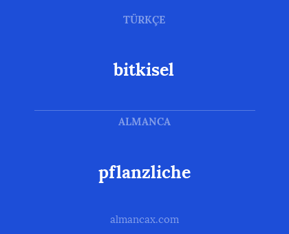 pflanzliche - bitkisel