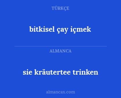 sie kräutertee trinken - bitkisel çay içmek