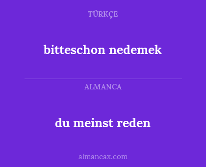 bitteschon nedemek - du meinst reden