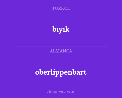 bıyık - oberlippenbart
