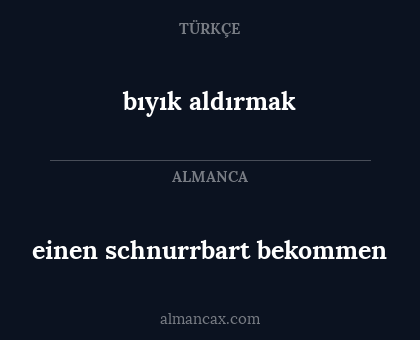 bıyık aldırmak - einen schnurrbart bekommen