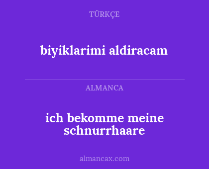 ich bekomme meine schnurrhaare - biyiklarimi aldiracam