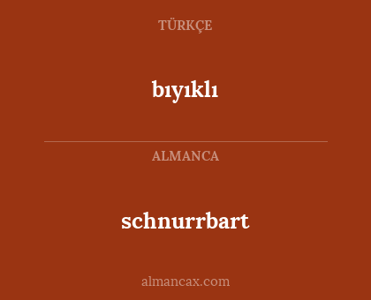 schnurrbart - bıyıklı