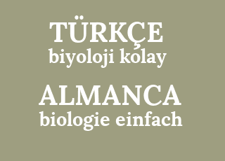 biyoloji+kolay-biologie+einfach.png