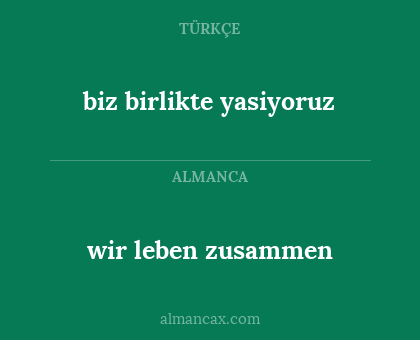 wir leben zusammen - biz birlikte yasiyoruz