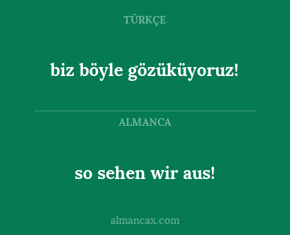 biz böyle gözüküyoruz! - so sehen wir aus!