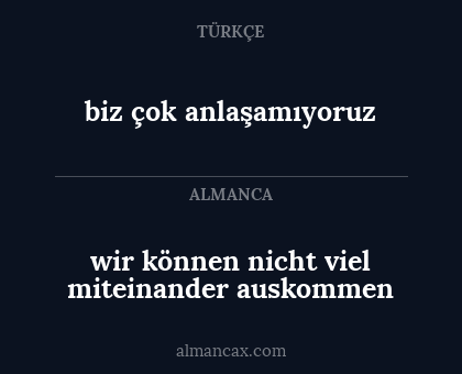 wir können nicht viel miteinander auskommen - biz çok anlaşamıyoruz