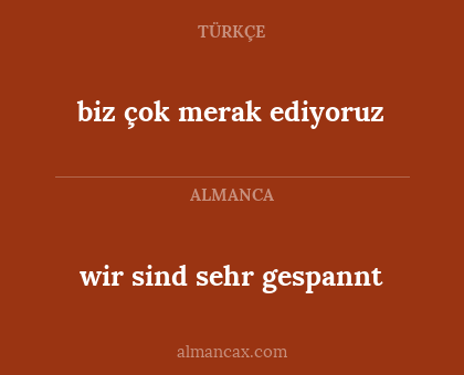 biz çok merak ediyoruz - wir sind sehr gespannt