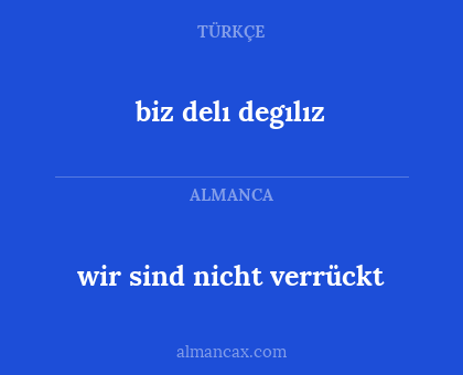 biz delı degılız - wir sind nicht verrückt
