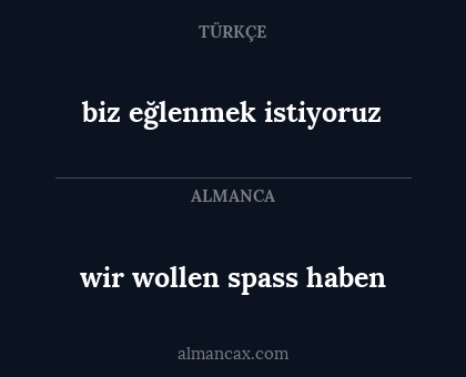 biz eğlenmek istiyoruz - wir wollen spass haben