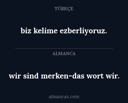 wir sind merken-das wort wir. - biz kelime ezberliyoruz.