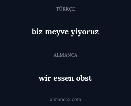 wir essen obst - biz meyve yiyoruz