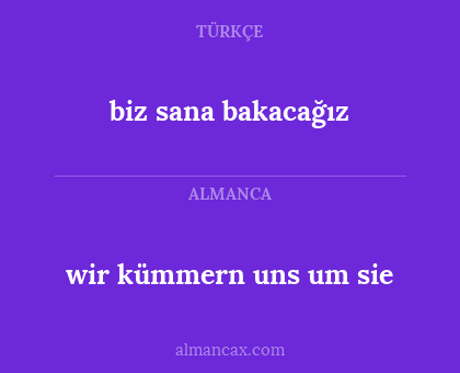 biz sana bakacağız - wir kümmern uns um sie
