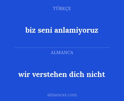 wir verstehen dich nicht - biz seni anlamiyoruz