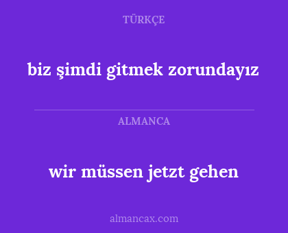 wir müssen jetzt gehen - biz şimdi gitmek zorundayız