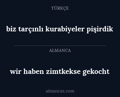 biz tarçınlı kurabiyeler pişirdik - wir haben zimtkekse gekocht