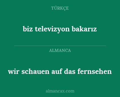 wir schauen auf das fernsehen - biz televizyon bakarız