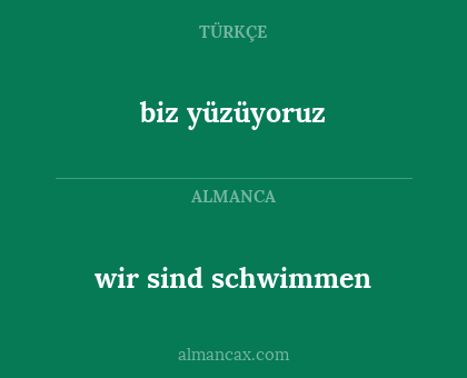 wir sind schwimmen - biz yüzüyoruz