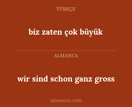 biz zaten çok büyük - wir sind schon ganz gross